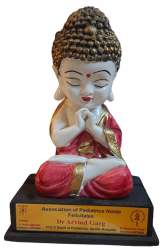 facilitation by association of pediatrics noida