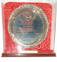 professor of excellence (HAG)